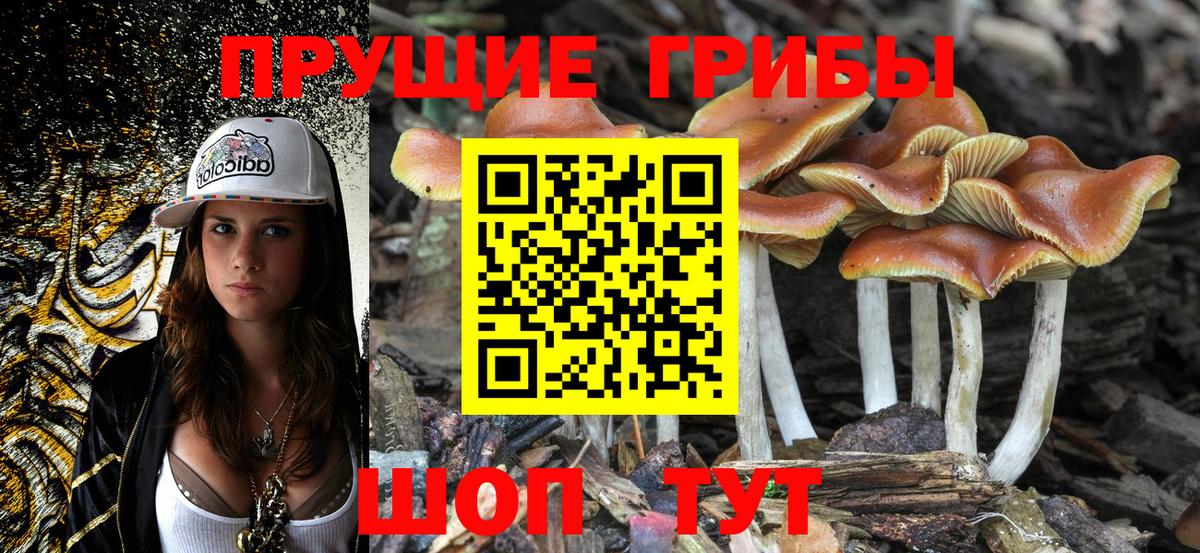 Псилоцибиновые грибы Magic Shrooms Сибай